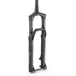 Forcella DT Swiss F 535 One 29' 150